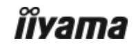 iiyama