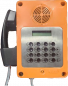 Preview: Industrie Wandtelefon IP66 und IK10