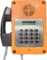 Preview: Industrie Wandtelefon IP66 und IK10 Preview: Industrie Wandtelefon IP66 und IK10