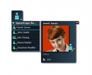 Preview: OpenScape Business MyPortal Smart Windows Ansicht